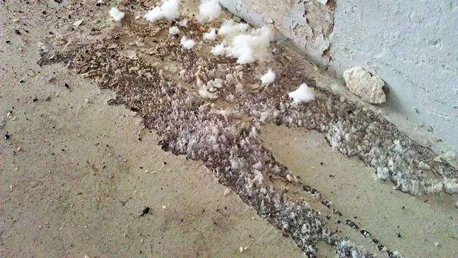 Read more about the article New Zealand Healthy Homes Standard – Moisture Barrier