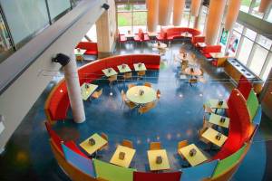 Vivid Dye'd concrete floor. Dye/stained concrete floor with Vivid Dye - Available from Floor Masters Ltd - Auckland